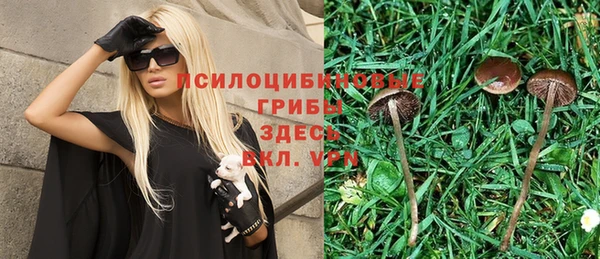винт Арсеньев