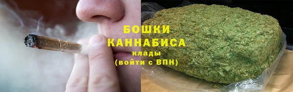 прущие грибы Аркадак