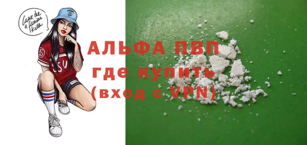 прущие грибы Аркадак