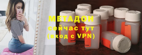 прущие грибы Аркадак