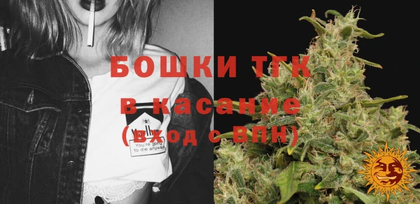прущие грибы Аркадак