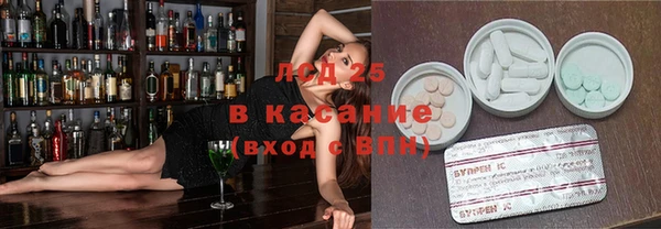 прущие грибы Аркадак