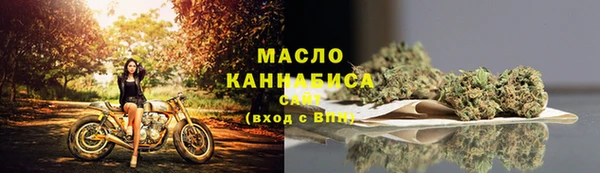 прущие грибы Аркадак